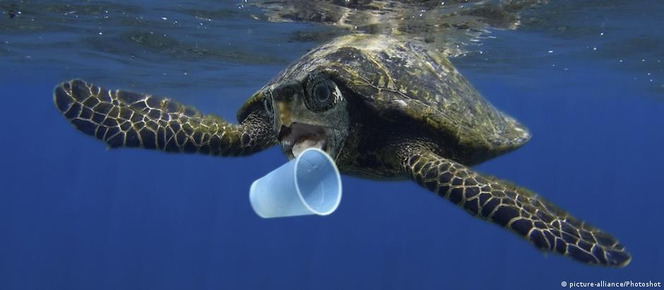 Animais marinhos como esta tartaruga muitas vezes ingerem lixo plástico