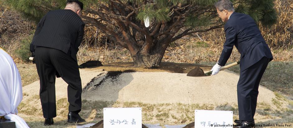 Kim Jong-un e Moon Jae-in plantam árvores na fronteira: gesto simbólico de aproximação